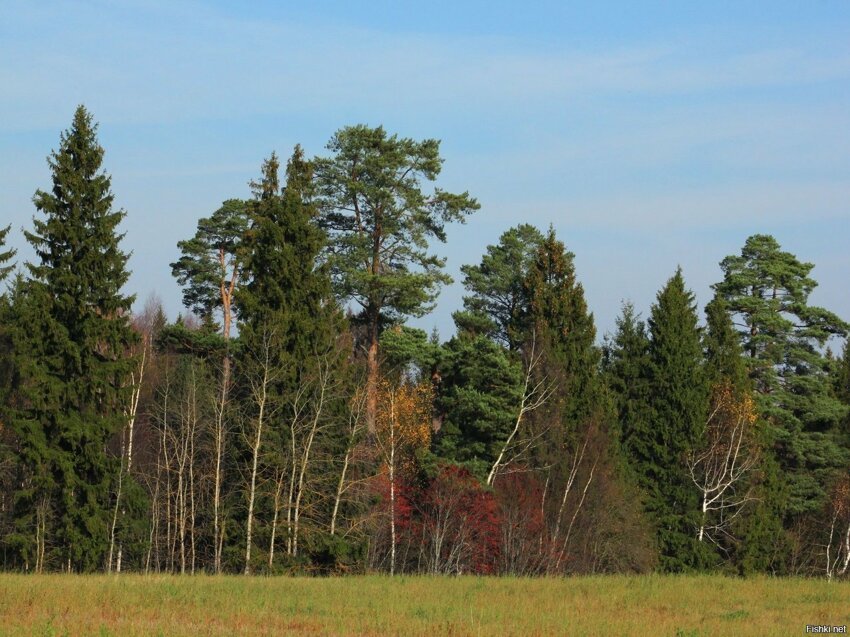 Осень