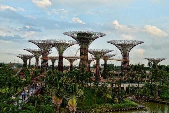 Сады будущего и супердеревья в Сингапуре 