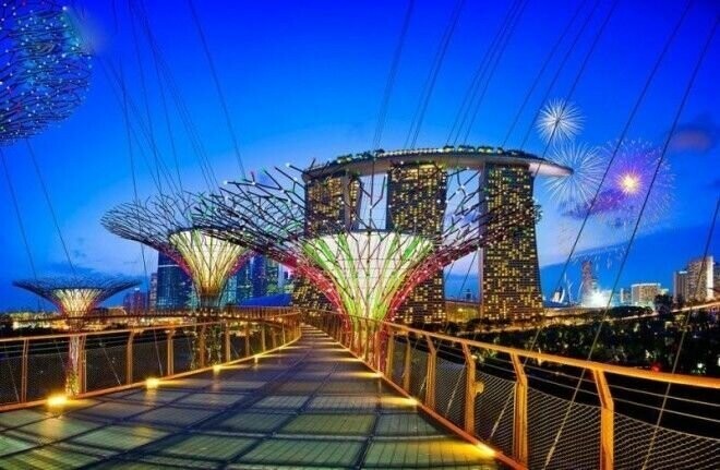 Сады будущего и супердеревья в Сингапуре 
