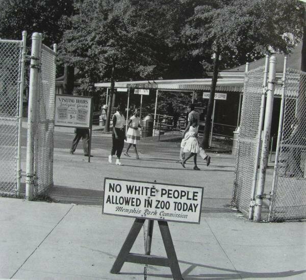 «Черный день» – день, в который в зоопарк Мемфиса ходят только негры, 1959 г. 
