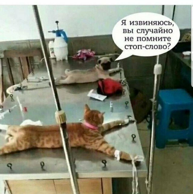 Всё в разнобой