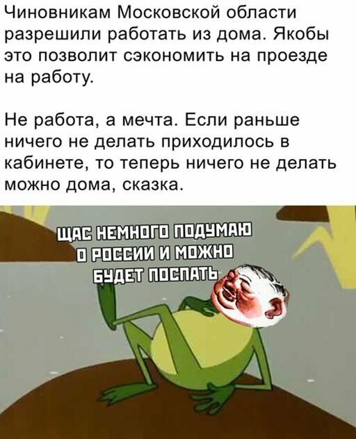 Прикольные и смешные картинки