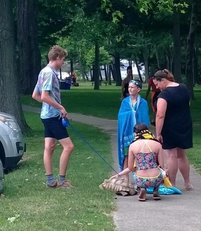 Фотоподборка со всякими зверушками