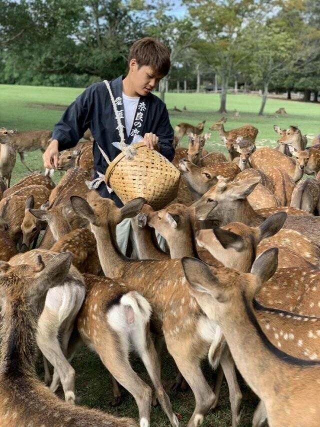 Фотоподборка со всякими зверушками