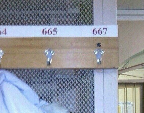 9. 666 и 13 - это для них настоящий ад