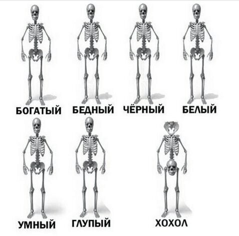 Субботний подбор смешных картинок