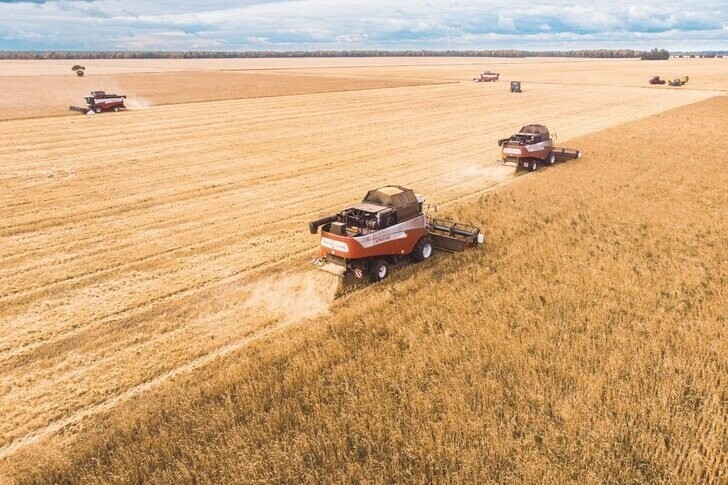 Тюменская область собрала рекордный урожай зерновых