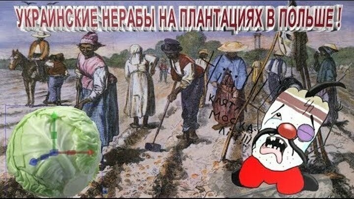 Работяги с Украины в Польше