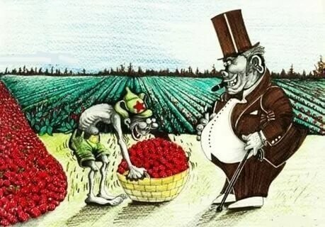 Работяги с Украины в Польше