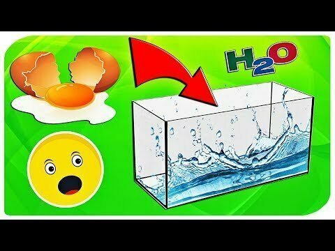 Эксперимент с яйцом, йогуртом и горчицей 