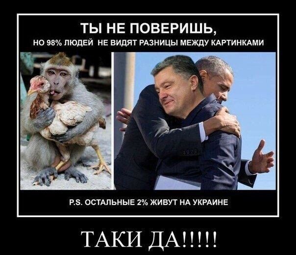 Бояны про ленивую Украину