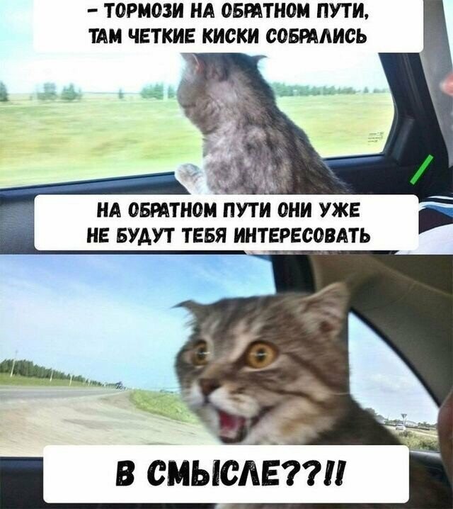 Намешалось