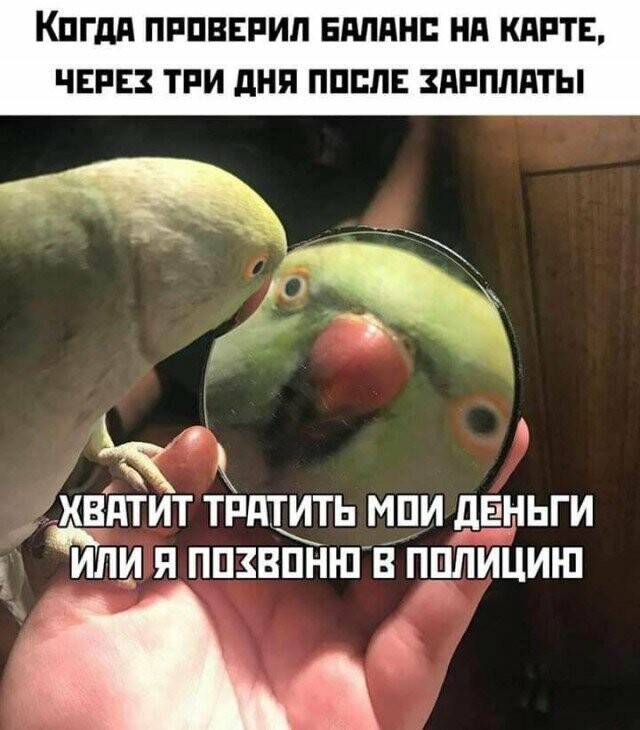 Намешалось