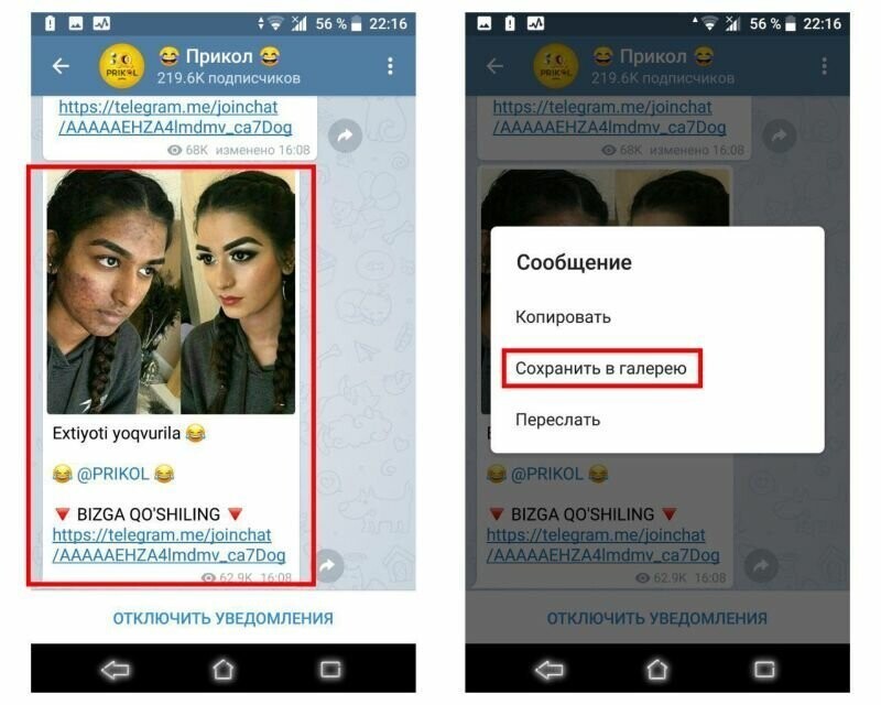 Спецпредставитель президента заявил, что в России нет запрета на использование Telegram