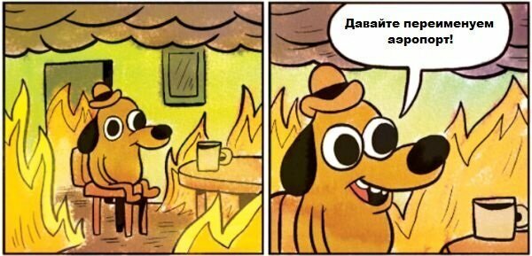 Чем закончилась кампания по переименованию аэропортов