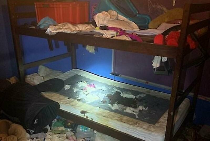 Трое детей и 245 животных проживали в нечеловеческих условиях в жилище во Флориде