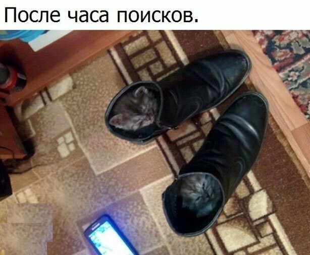 Прикольные и смешные картинки