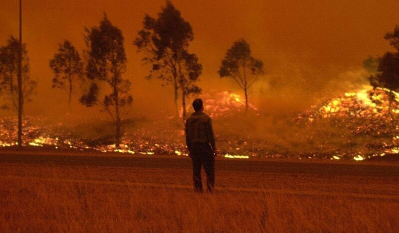 Австралийские чиновники не спешили тушить лесные пожары. И пожалели об этом!