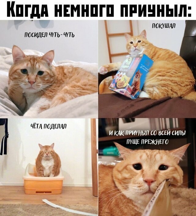 Намешалось