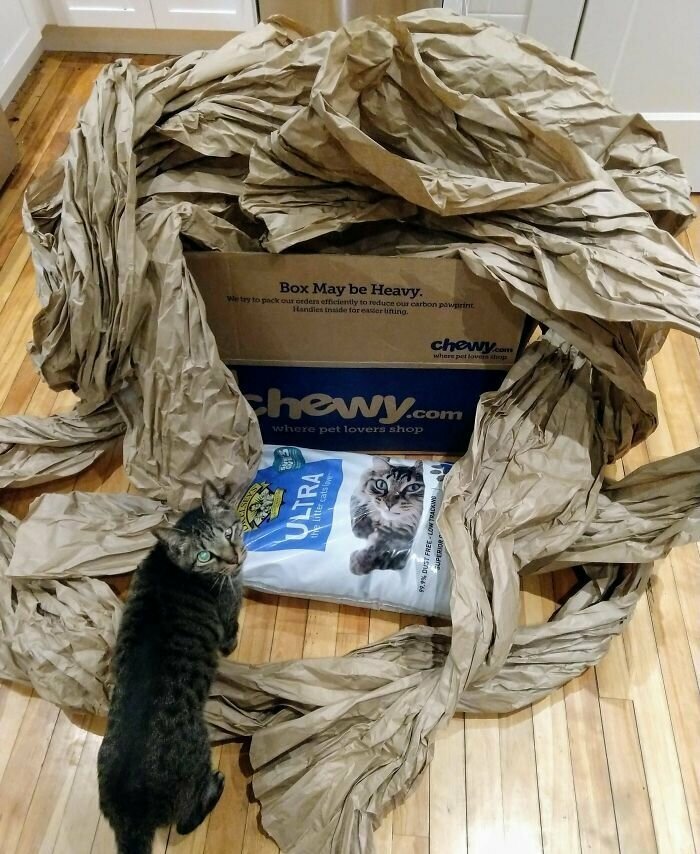 "И вся эта бумага - для одного пакета наполнителя для кошачьих туалетов! Ее бы коту явно хватило на более долгое время!"
