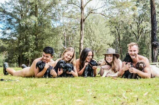 Австралийские студенты ветеринарного колледжа разделись ради благотворительности
