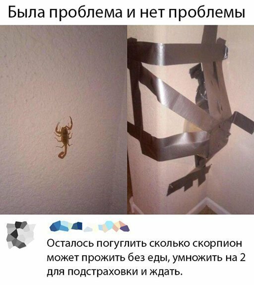 Прикольные и смешные картинки