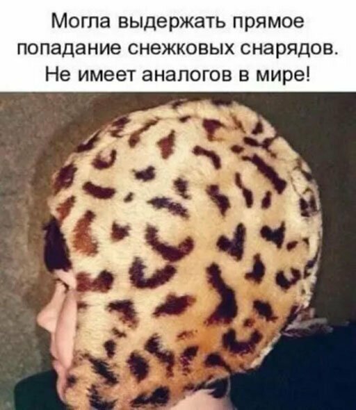 Прикольные и смешные картинки