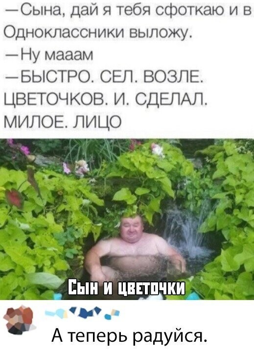 Скрины из социальных сетей