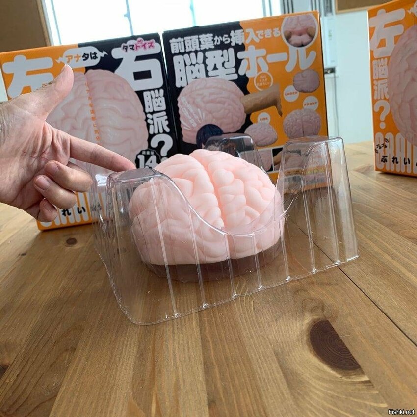 А знаете почему эта японская секс-игрушка называется "The Brain F