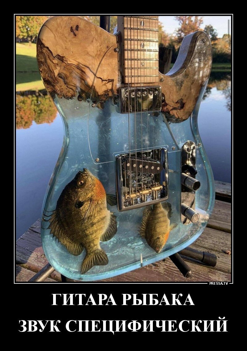 Гитара рыбака