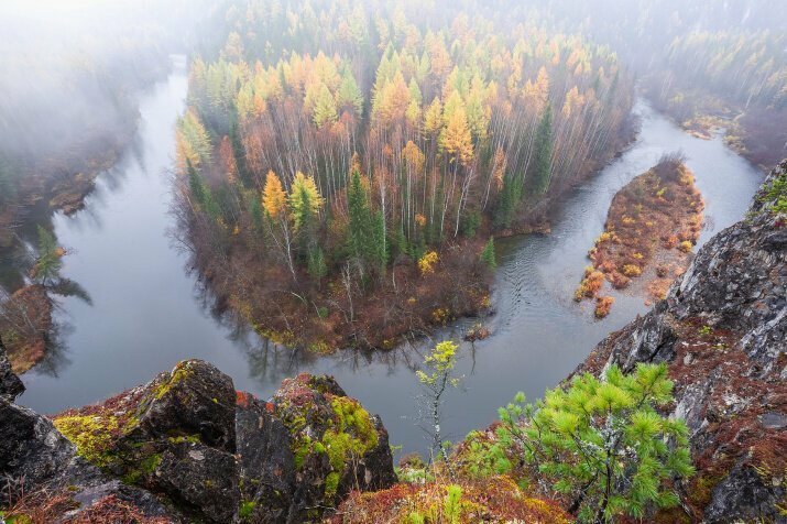 Таежная излучина