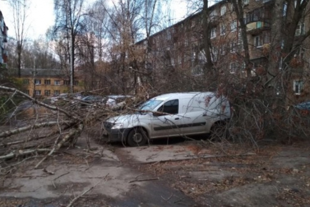 Жители Ярославля показали, что непогода сотворила с их городом