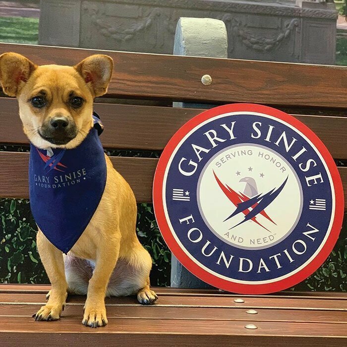 Он основал благотворительный фонд Gary Sinise Foundation, помогающий вemepaнам, сотрудникам служб экстренной помощи и их семьям