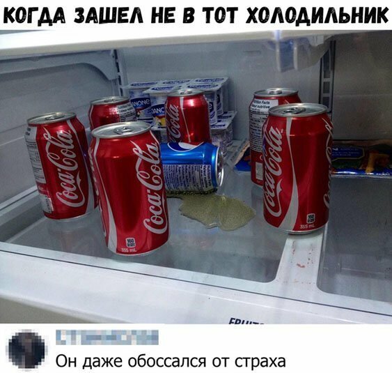 Прикольные и смешные картинки