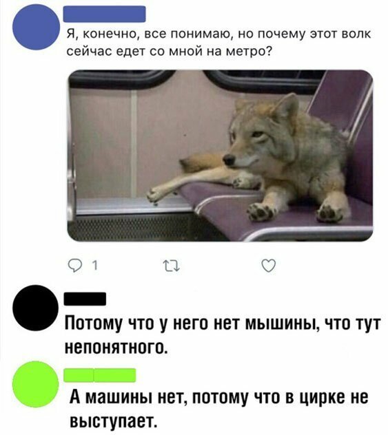 Прикольные и смешные картинки