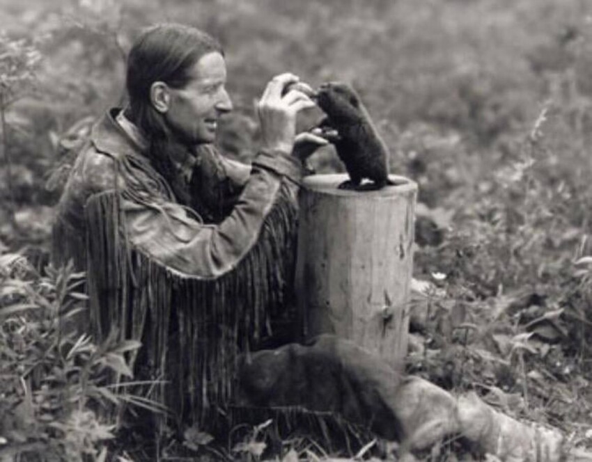 Канадский писатель Серая Сова кормит маленького воспитанника, 1930-е.