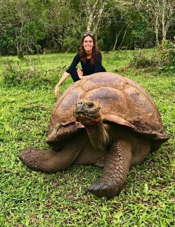 2. Обычная девушка и обычная галапагосская черепаха