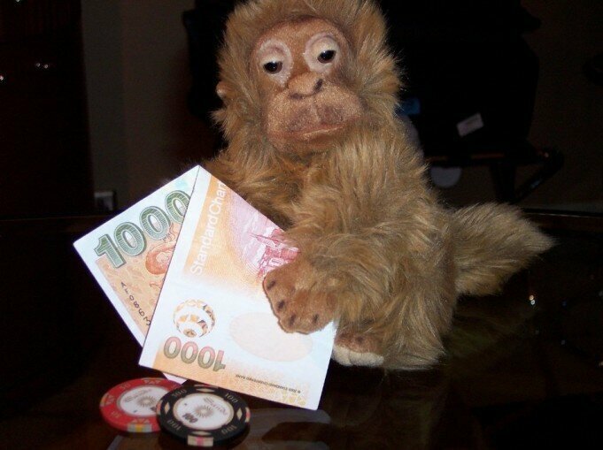  Исследование азартного поведения у обезьян. 