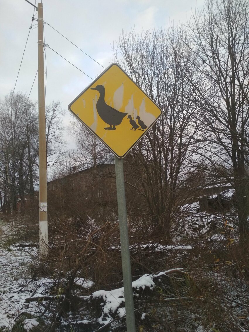Такие знаки в Валдае установлены, перед ручьями, которые под проезжей частью ...