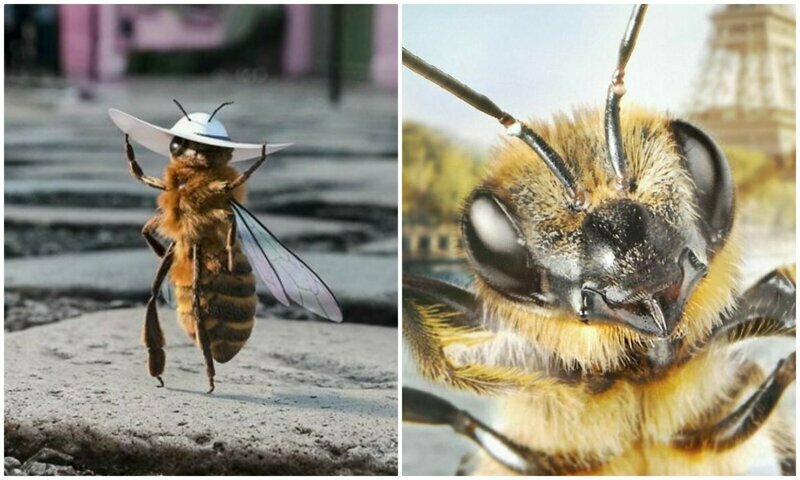 Первая в мире пчела-блогер кричит о помощи