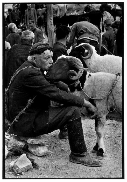 На рынке. Крит. Греция. 1967 год 