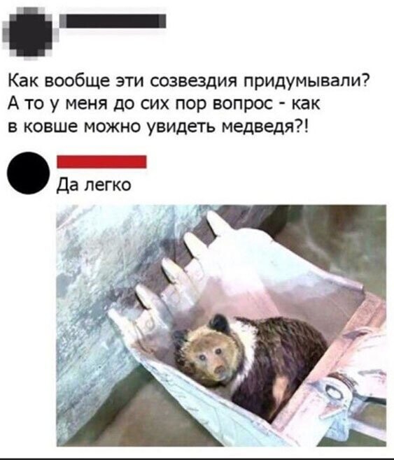 Прикольные и смешные картинки