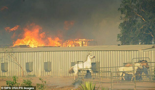 Кадры бушующего пожара на ранчо Tierra Rejada Road