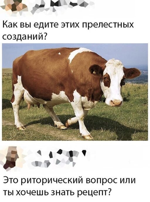 Прикольные и смешные картинки