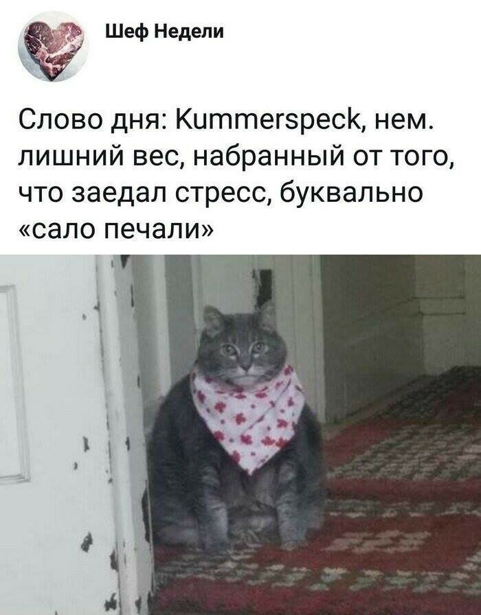 Приколы про немецкий язык