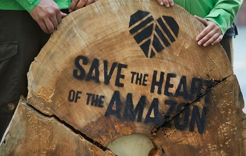 Проблема вырубки лесов и пути её решения
