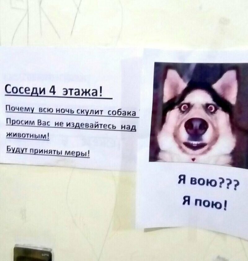 Соседские войны в эпистолярном жанре