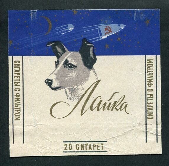 3 ноября 1957, Второй в мире спутник был запущен в СССР с живым существом на борту - собакой Лайкой