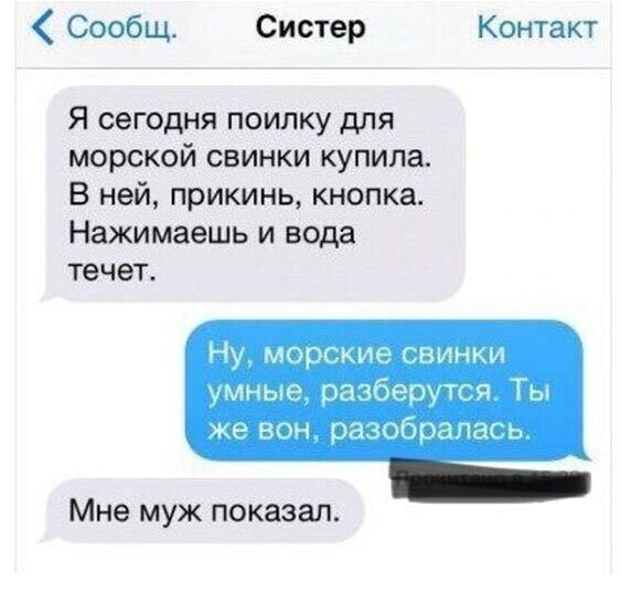 Прикольные и смешные картинки