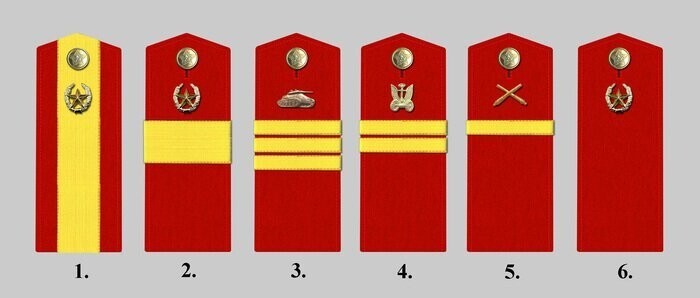 От младшего до старшего: как в Красной Армии появились сержанты